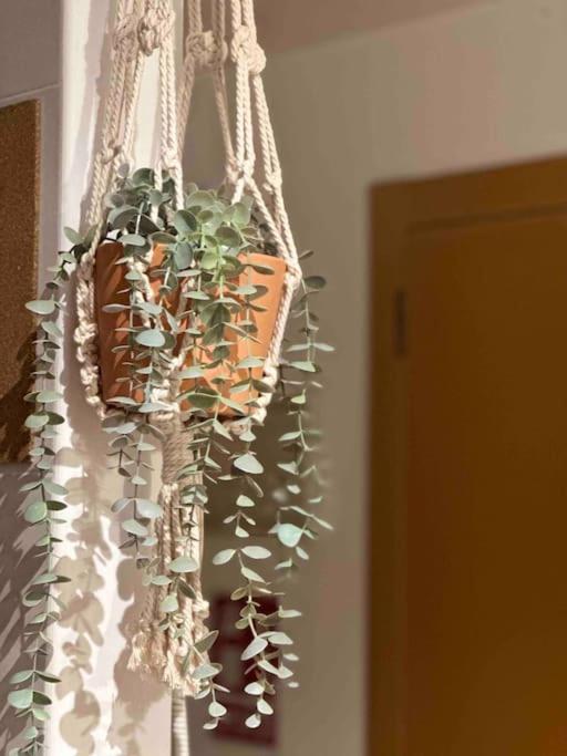 Apartamento El Picu Collanzo Zewnętrze zdjęcie