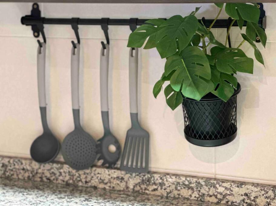Apartamento El Picu Collanzo Zewnętrze zdjęcie