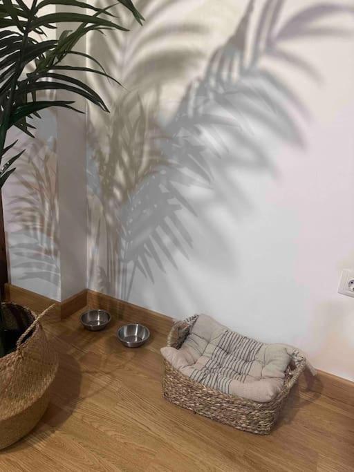 Apartamento El Picu Collanzo Zewnętrze zdjęcie