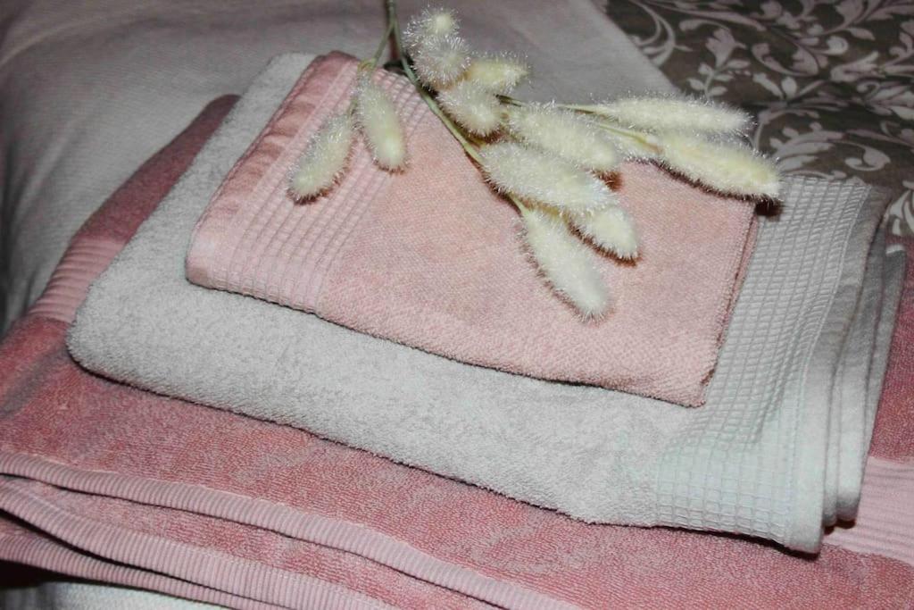 Apartamento El Picu Collanzo Zewnętrze zdjęcie